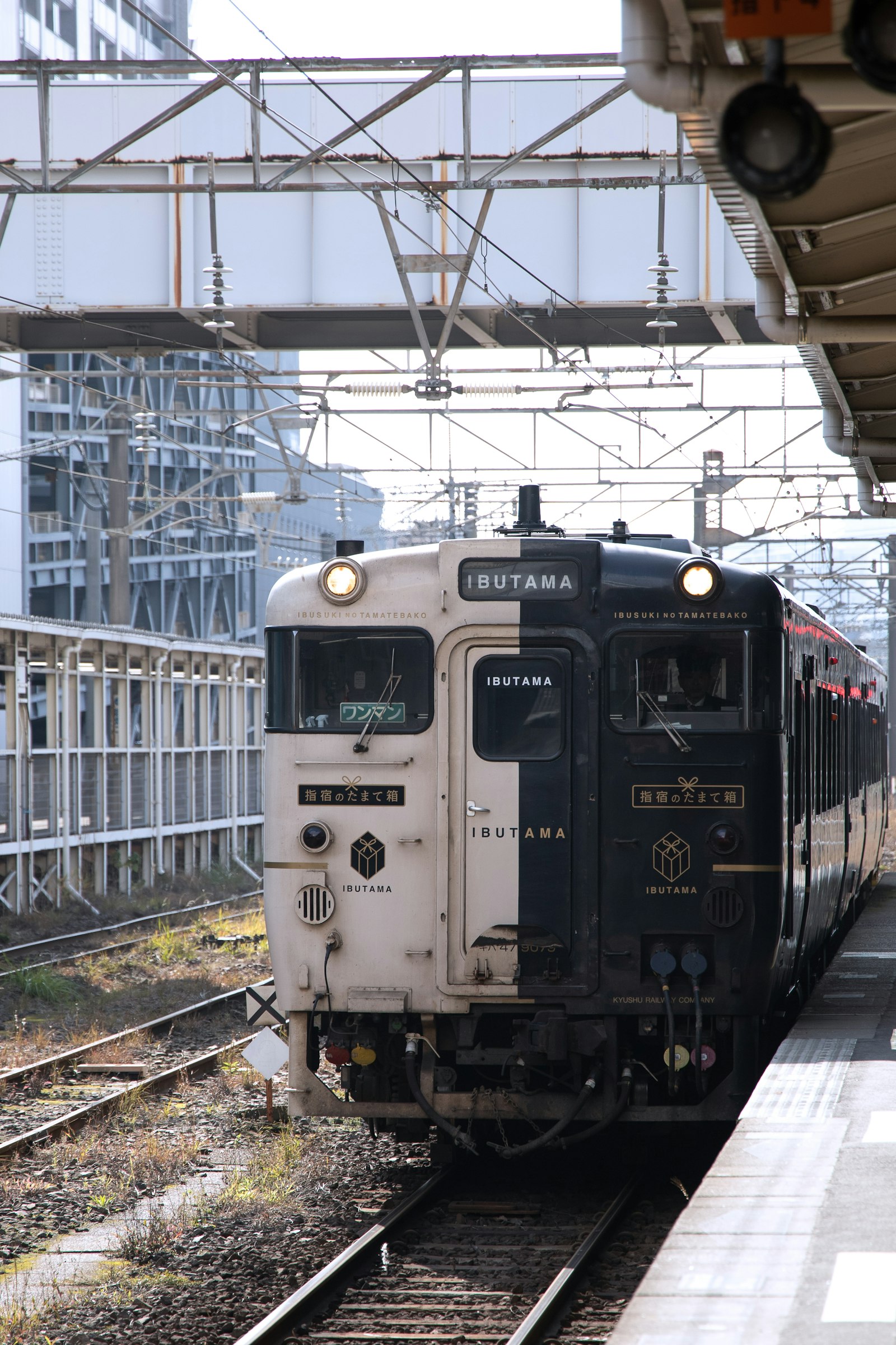 Yamanote line platform sign at Shinjuku station showing line color and station name in kanji